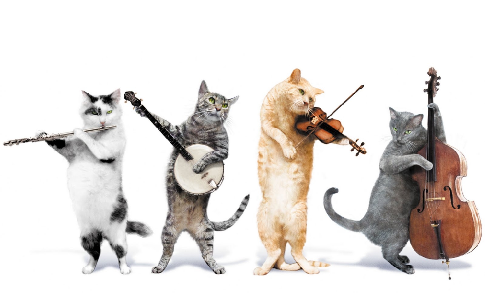La música motiva a los animales